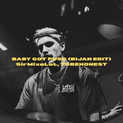 Baby Got Puss (BIJAN MASHUP)