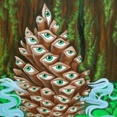 Funky Forestry