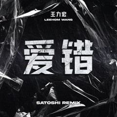 王力宏 - 爱错 (SATOSHI Remix)