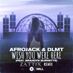 Afrojack & DLMT ft. Brandyn Burnette - Wish You Were Here (ZATTIX Remix)