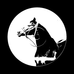 Riding My Horse Through A Tall Grassy Field Beside The River