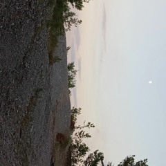 Cody Buck - Lime Tea.m4a