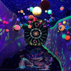 Deep Forest 2025