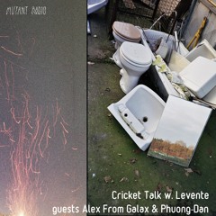 Cricket Talk w. Levente guests Phuong-Dan & Alex From Galax [20.11.2020]