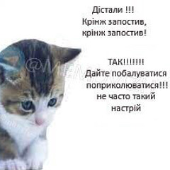 Flannyr-Гороскоп врёт