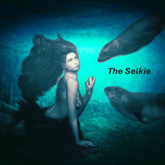 The Selkie