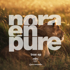 True (Radio Edit)