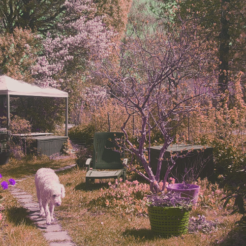 Another Dimension ||Rhcp Inspired
