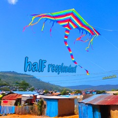 halF resplendenT [naviarhaiku569]