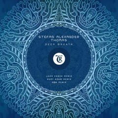 𝐏𝐑𝐄𝐌𝐈𝐄𝐑𝐄: Stefan Alexander Thomas - Borealis (Jack Essek Remix) [Tibetania Records]