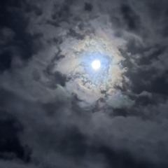 wenn der Mond scheint