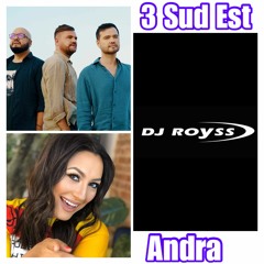 3 Sud Est & Andra - Jumatatea Mea Mai Buna (DJRoyss - Remix)