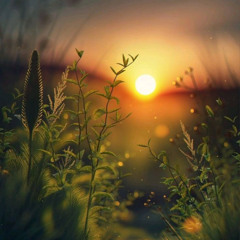 INIDA - Radiance (Original Mix)