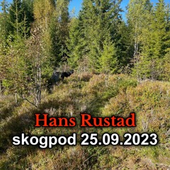 Skogpod 25. september 2023