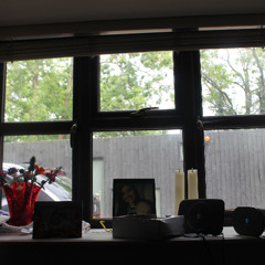Window Looker [disquiet0700]