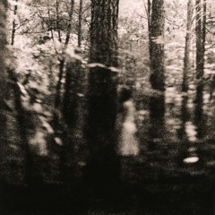 WL//WH - JULY 2025 \\ Post-Punk/ Coldwave/ Darkwave/ Synth-Pop/