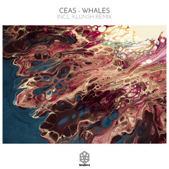 Whales (Klunsh Remix)