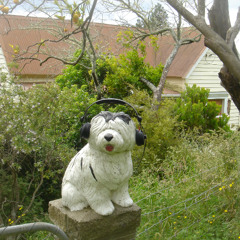 Takaka Dawn Chorus 5.30am