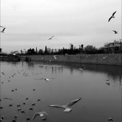 Age Mimundi | اگه میموندی (Xaniar)