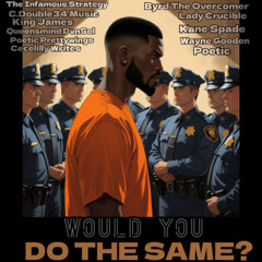 Would You Do The Same, Part 1 (C. Double34 Music & Queensmind Dvn Sol, vocals)
