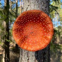 10000 YEARS FROM NOW