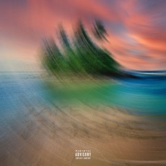 Sean Kingston - Take You There (T Marq x Carvell Remix)