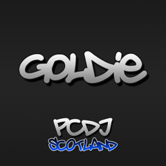 GOLDIECHINKY-TECHNOMEGABIT-FUR-SHANKS-2010