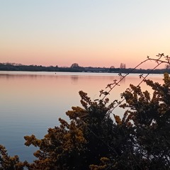 2021 never say neverMP.mp3