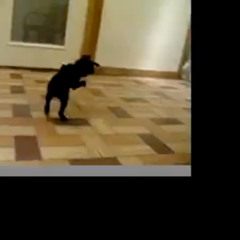 ི─͜͡𖤓͜͡─ྀ ི─͜͡𖤓͜͡─ྀ ི─͜͡𖤓͜͡─ྀ ི─͜͡𖤓͜͡─ྀ ི─͜͡𖤓͜͡─ྀི─͜͡𖤓͜͡─ྀ ི─͜͡𖤓͜͡─ྀ ི─͜͡𖤓͜͡─ྀ ི─͜͡𖤓͜͡─ྀ ི─͜͡𖤓͜͡─ྀི─͜͡𖤓͜͡─ྀ ི─͜͡𖤓͜͡─ྀ ི─͜͡𖤓͜͡─ྀ ི─͜͡𖤓͜͡─ྀ ི─͜͡𖤓͜͡─ྀི─͜͡𖤓͜͡─ྀ ི─͜͡𖤓͜͡─ྀ ི─͜͡𖤓͜͡─ྀ ི─͜͡𖤓͜͡─ྀ ི─͜͡𖤓͜͡─ྀི─͜͡𖤓͜͡─ྀ ི─͜͡𖤓͜͡─ྀ ི─͜͡𖤓͜͡─ྀ ི─͜͡𖤓͜͡─ྀ ི─͜͡𖤓͜͡─ྀི─͜͡𖤓͜͡─ྀ 