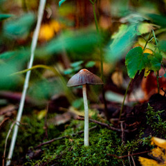 Rest in Dub-November-2017-dubTechno mix