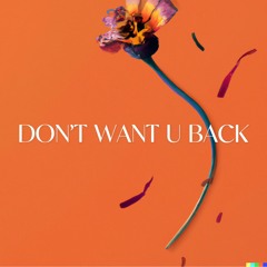 Lucas Larvenz - Don't Want U Back