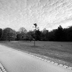 Don't Forget Us (that Reddit Grime Acapella folder)