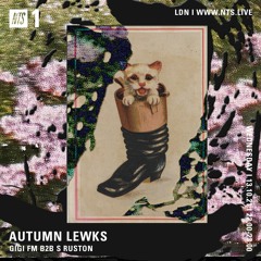 NTS Radio ~ GiGi FM b2b S.Ruston : Autumn Lewks ~ 13/10/21