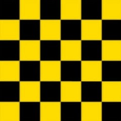 program [demo]