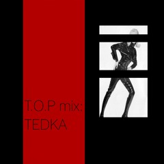 T.O.P mix: TEDKA