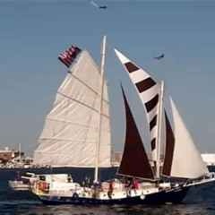 Best History Sail On Summer Wind Tours Review