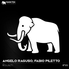 PREMIERE: Angelo Raguso , Fabio Piletto - Rausch (Original Mix) [Marktek Records]