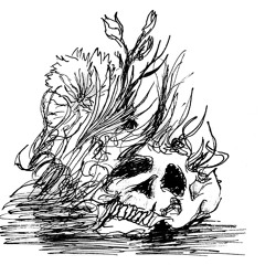 A Shambolic Display excerpt