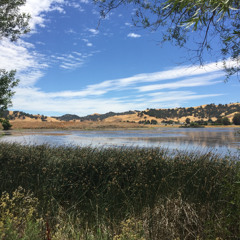 While Fragrant Grasses Rooted In