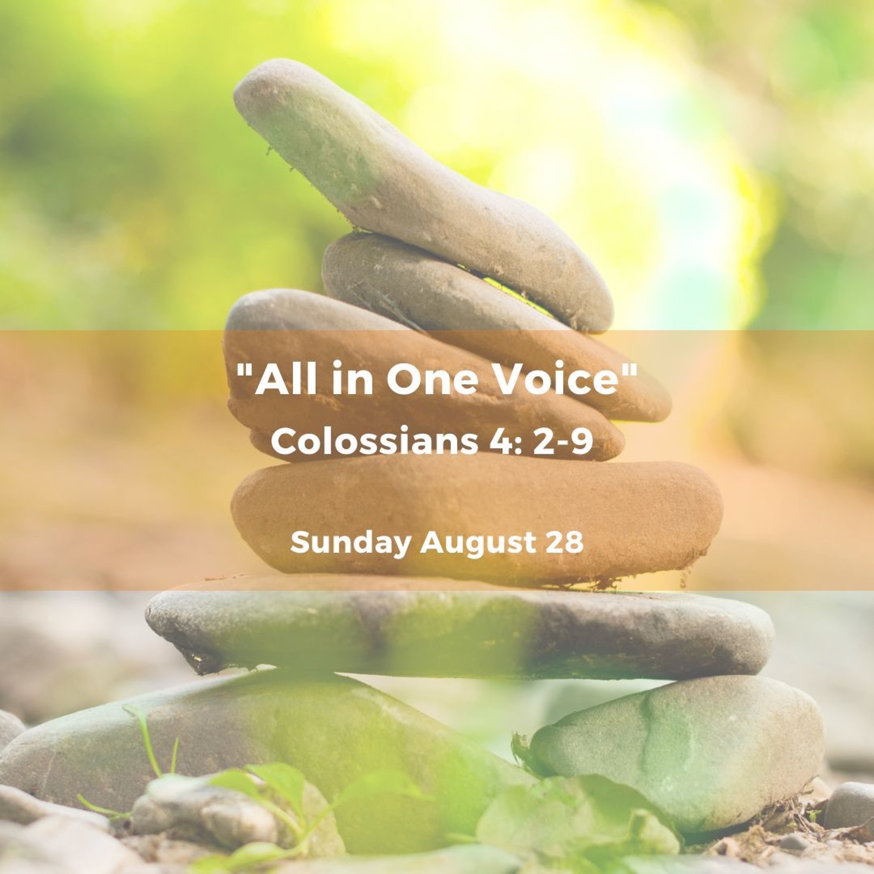 All In Once Voice... Reflections on Colossians 4, Jenny Warner preaching episode artwork