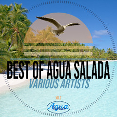 05- Processing Vessel - Japanese Garden (Original Mix) [Agua Salada Records]