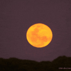 Supermoon toon