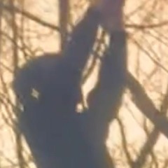 ansigt i ild (prod. cashjulyy, valter)