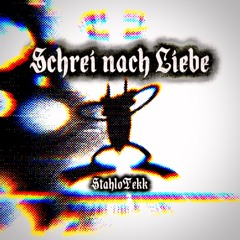 StahloTekk - Schrei nach Liebe RMX