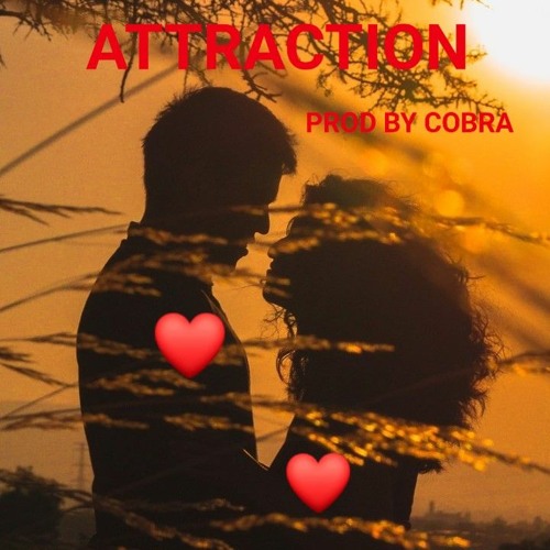 Attraction Prod.By Cobra