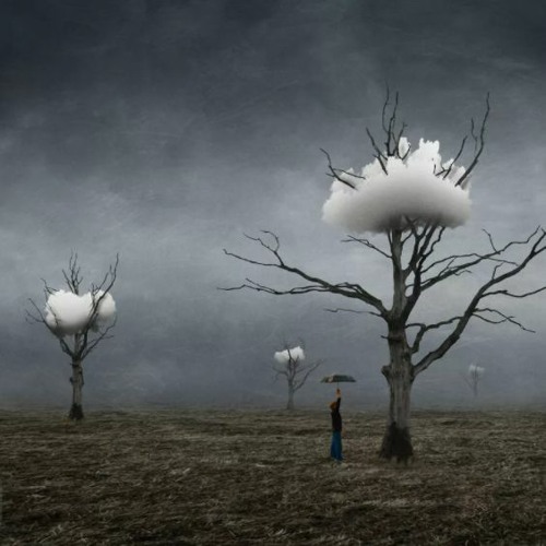 Discohalal background apps 📱FREE DOWNLOAD