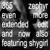 Artwork for Charli XCX - 365 featuring Shygirl (Zephyr Even More Extended Edit)