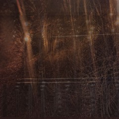 Убил Москаля