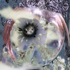 NÜ PREMIERE :   pr1nc1p3ss4 - omo (CRTTR)