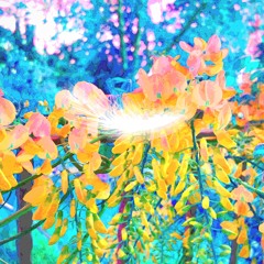 Feather Falling